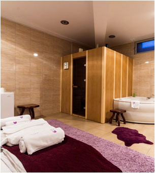 sauna i fitnes - apart hotel k beograd