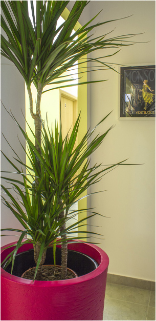 studio sa balkonom - apart hotel k beograd
